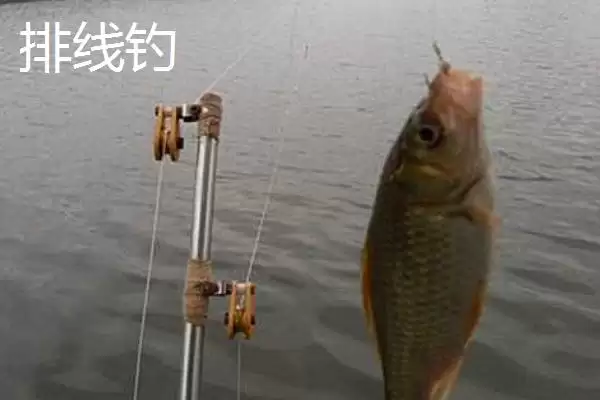 图片[9]-传统钓钓法介绍(传统钓钓法有哪些详细介绍呢)-会东网