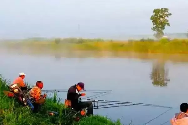 图片[2]-钓鲮鱼适合调几目钓几目(钓鲮鱼调几目钓几目合适)-会东网
