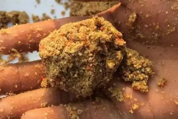 图片[5]-钓鲢鳙技巧(钓鲢鳙有哪些实用技巧和方法)-会东网