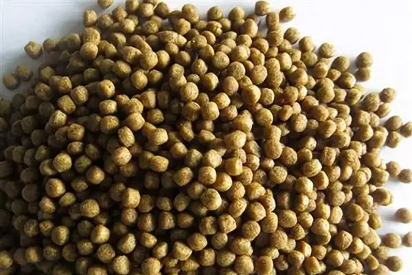 图片[6]-4cm 锦鲤一个月生长长度 (4cm 的锦鲤一个月能长 2-6 厘米的原因是什么)-会东网