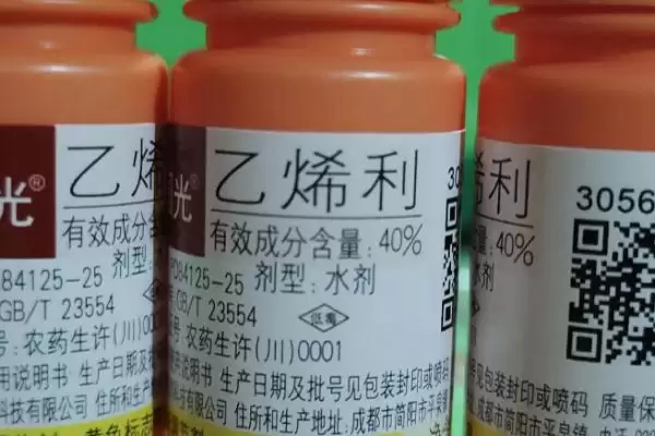 图片[4]-胺鲜乙烯利如何调节植物生长发育？作用原理揭晓-会东网