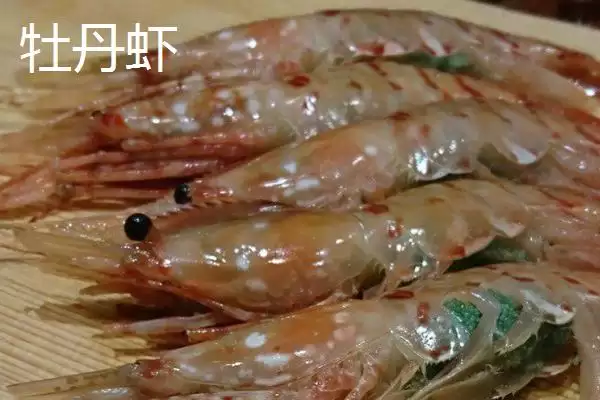图片[3]-鳌虾与牡丹虾区别(鳌虾与牡丹虾头部等区别及其在食用和养殖上的特点)-会东网
