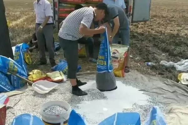 图片[4]-50强化肥品牌(50强化肥有中国农资等品牌其优势和市场表现如何)-会东网