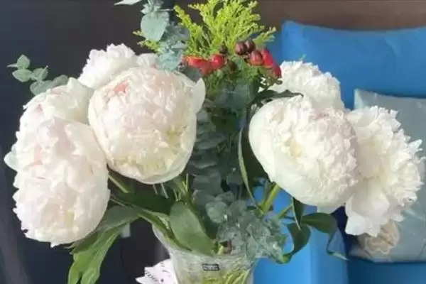 图片[3]-白色花放家里现代观点(从现代视角看白色花放家里有着怎样的看法和寓意)-会东网