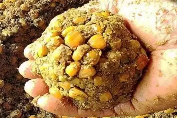 图片[6]-钓鲢鳙技巧(钓鲢鳙有哪些实用技巧和方法)-会东网