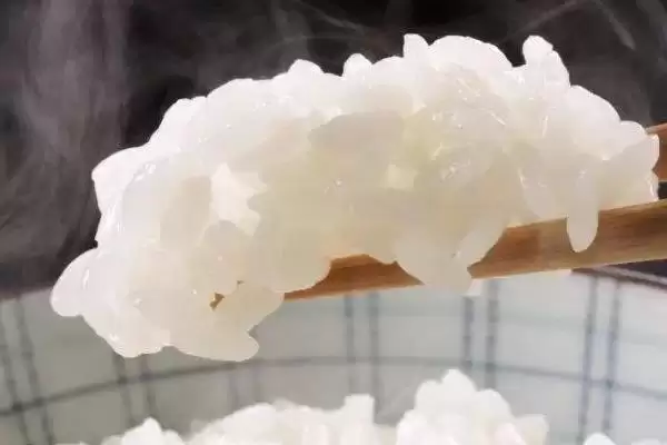 图片[15]-钓鱼饵料品牌(常见的钓鱼饵料品牌有哪些)-会东网