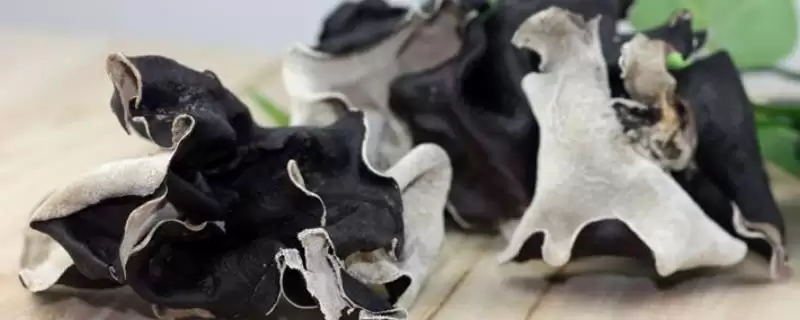 白背木耳价格影响因素(白背木耳价格影响因素及其在市场上的价格波动分析)-会东网