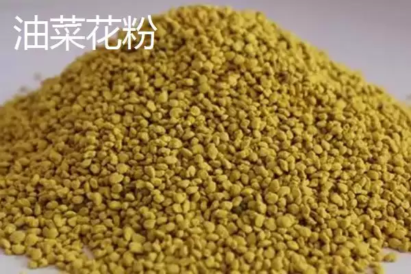 图片[5]-蜂花粉种类(蜂花粉常见种类及营养差异有哪些)-会东网