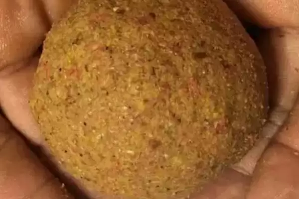 图片[8]-垂钓鳊鱼的饵料配方(垂钓鳊鱼有什么好的饵料配方呢)-会东网