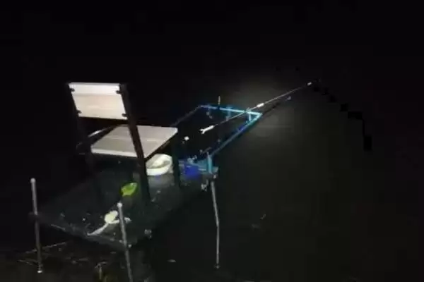 图片[2]-草鱼能否夜钓(草鱼在夜间是否适合垂钓呢)-会东网