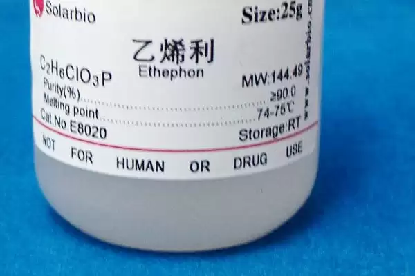 图片[3]-胺鲜乙烯利如何调节植物生长发育？作用原理揭晓-会东网