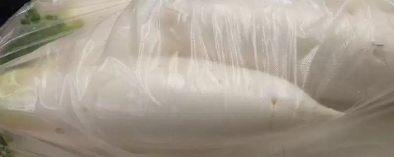 白萝卜储存方法(白萝卜有哪些有效的储存方法及注意事项详解)-会东网