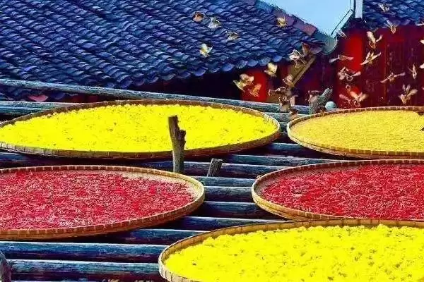 图片[3]-2023 年立秋具体日期 (2023 年立秋为 8 月 8 日背后有什么天文依据)-会东网
