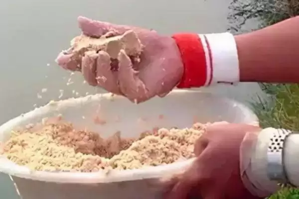 图片[4]-钓青鱼用什么小药(钓青鱼用哪种小药效果好)-会东网