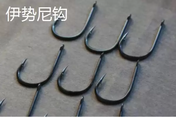 图片[2]-钓鲤鱼用什么鱼钩(钓鲤鱼选哪种鱼钩更合适)-会东网