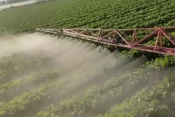 图片[2]-白菜长白斑用药要点(白菜长白斑用药要点及其在病虫害防治中的注意事项)-会东网