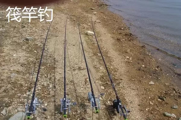 图片[7]-传统钓钓法介绍(传统钓钓法有哪些详细介绍呢)-会东网