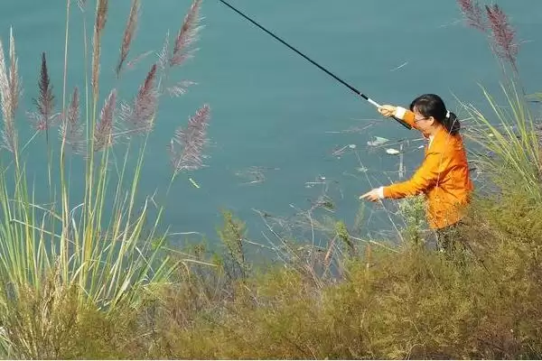 图片[7]-钓鲤鱼用什么鱼钩(钓鲤鱼选哪种鱼钩更合适)-会东网