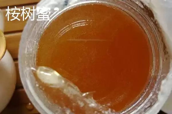 图片[3]-桉树蜜颜色原因(桉树蜜多呈琥珀色的原因和其成分与色泽关系)-会东网