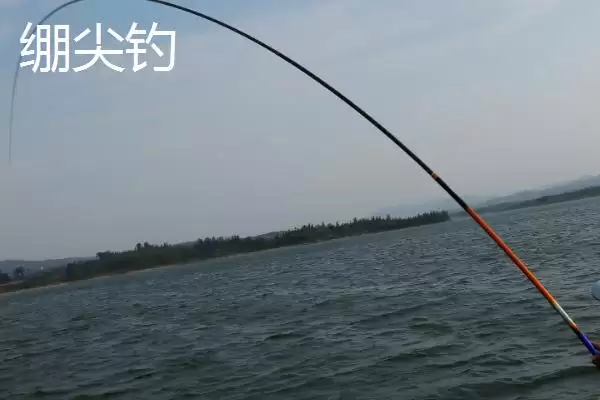 图片[4]-传统钓钓法介绍(传统钓钓法有哪些详细介绍呢)-会东网