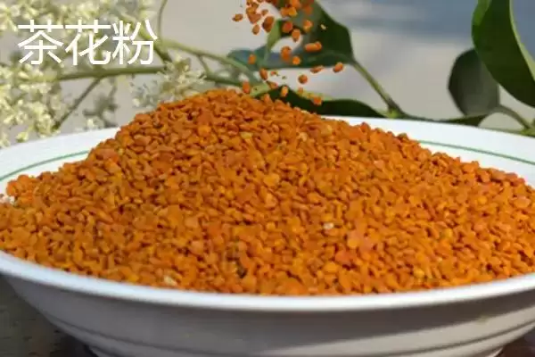图片[3]-蜂花粉种类(蜂花粉常见种类及营养差异有哪些)-会东网