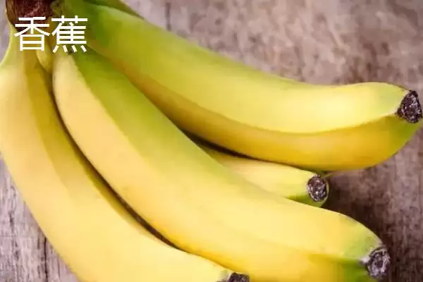 图片[3]-芭蕉和香蕉区别(芭蕉和香蕉的区别及其在食用和种植上的不同要点)-会东网