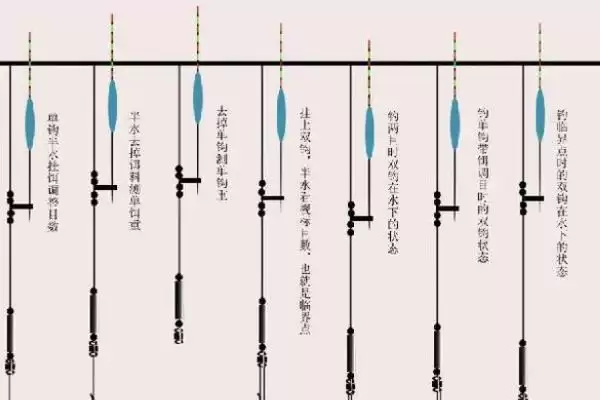 图片[2]-钓鲢鱼如何调漂(钓鲢鱼该怎么调漂呢)-会东网