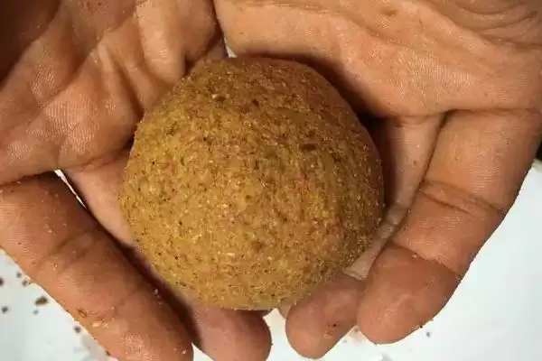 图片[4]-垂钓鲮鱼适合用什么饵料(垂钓鲮鱼用啥饵料比较好呢)-会东网