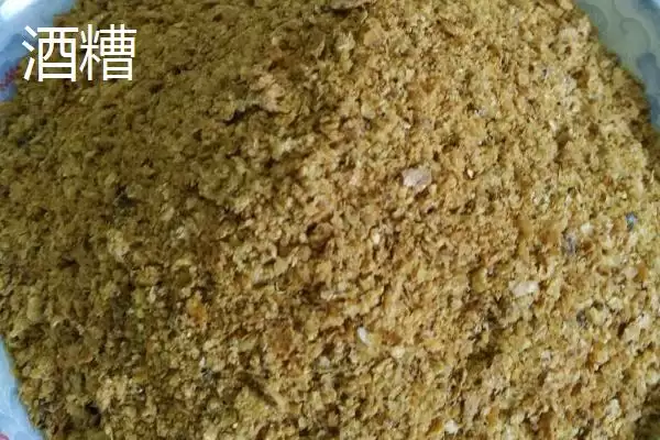 图片[5]-春季钓鱼用什么打窝(春季钓鱼用什么做窝料比较好呢)-会东网