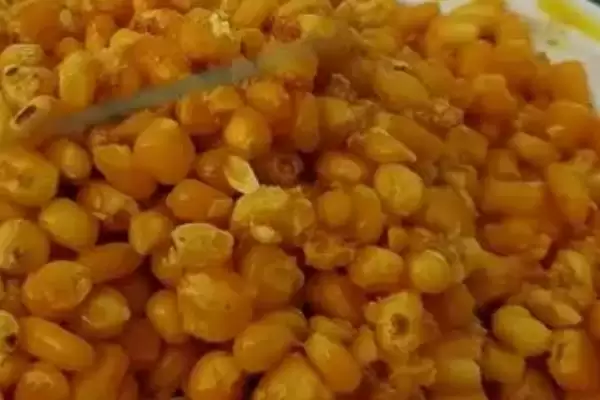 图片[9]-鲫鱼品种有哪些 ，鲫鱼除高背鲫、彭泽鲫，还有啥品种？-会东网