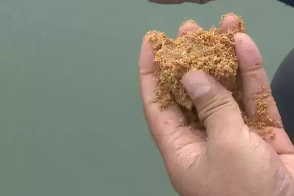 图片[3]-钓鱼何为散炮(钓鱼中的散炮是什么东西呢)-会东网