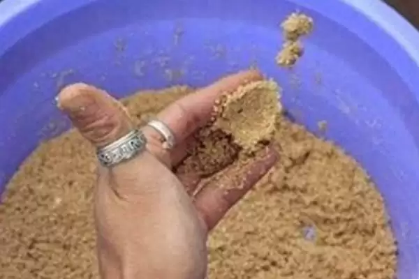 图片[5]-钓鱼何为散炮(钓鱼中的散炮是什么东西呢)-会东网
