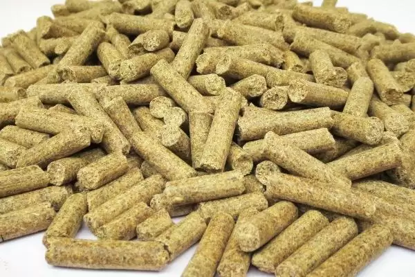 图片[10]-鲫鱼品种有哪些 ，鲫鱼除高背鲫、彭泽鲫，还有啥品种？-会东网