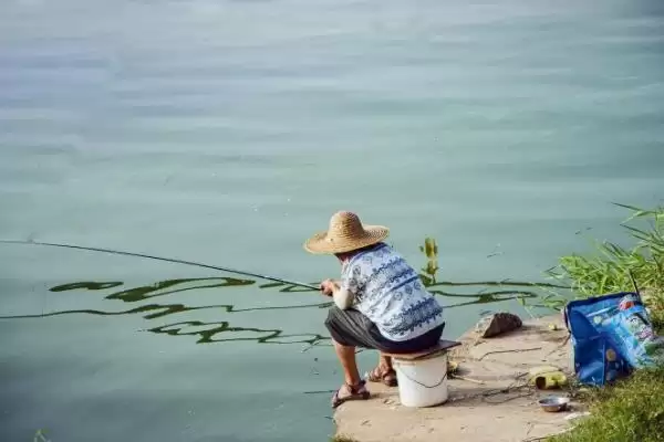 图片[2]-钓鱼何为散炮(钓鱼中的散炮是什么东西呢)-会东网