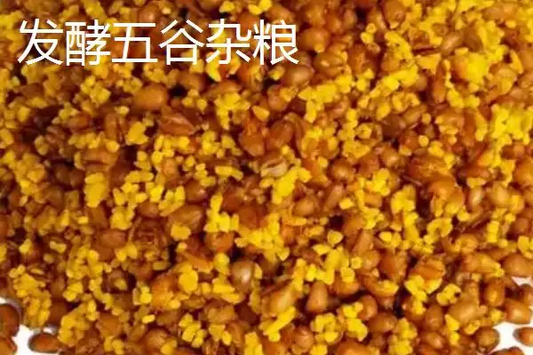 图片[3]-春季钓鱼用什么打窝(春季钓鱼用什么做窝料比较好呢)-会东网