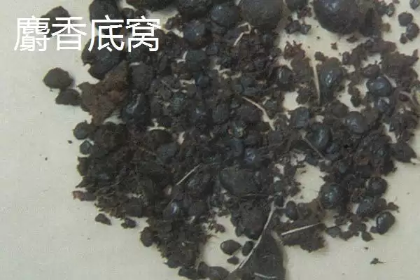 图片[6]-老三样打窝方法揭秘，“钓鱼不打窝，钓得也不多”解读-会东网