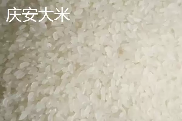 图片[4]-黑龙江省庆安县的特产 ，大米酒为啥能远销多地-会东网