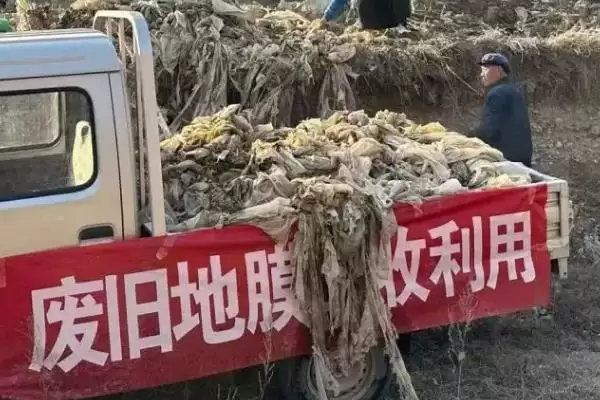图片[10]-聚焦农业绿色发展行动，五大关键行动全面解读-会东网