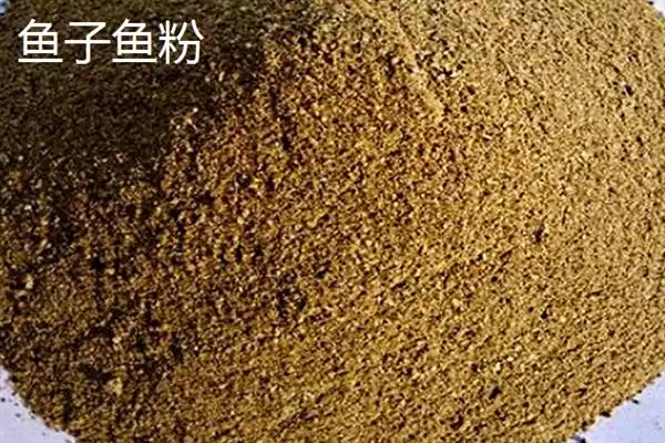 图片[2]-河北海兴县的特产 ，鱼子鱼粉等特产有啥特色-会东网