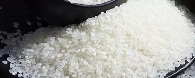 黑龙江省庆安县的特产 ，大米酒为啥能远销多地-会东网