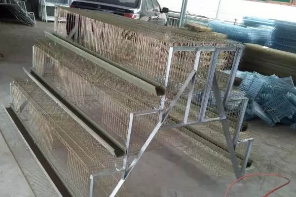 图片[2]-鸡笼如何搭建 ，根据鸡数量确定大小真的合理吗-会东网