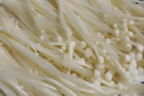 图片[5]-农村食用菌种植效益揭秘，香菇等品种成热门选择-会东网