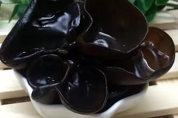 图片[3]-农村食用菌种植效益揭秘，香菇等品种成热门选择-会东网