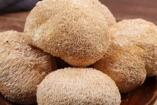 图片[6]-农村食用菌种植效益揭秘，香菇等品种成热门选择-会东网