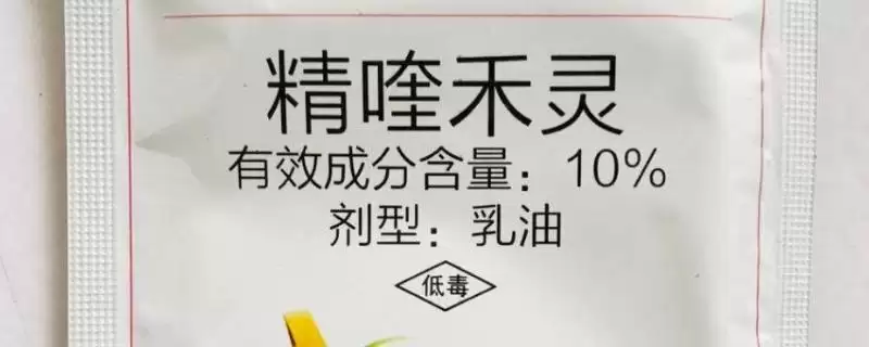 精喹禾灵对下茬作物影响揭秘,基本无影响要点解读-会东网