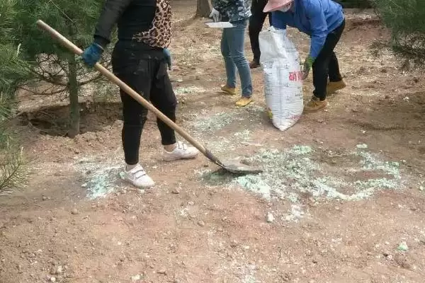 图片[8]-尿素使用误区揭秘，作种肥易毒害作物要点-会东网
