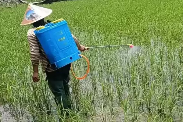 图片[2]-矿源黄腐酸钾用量曝光，作物、时期等因素影响用量解读-会东网