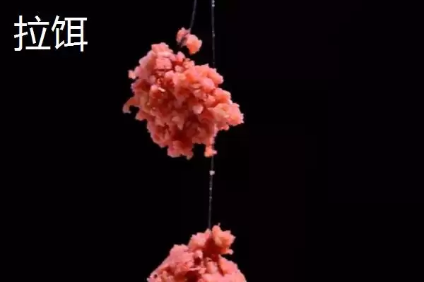 图片[2]-拉饵和搓饵区别揭秘，制作、重量、雾化等方面对比-会东网