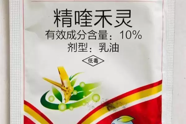 图片[5]-精喹禾灵对下茬作物影响揭秘，基本无影响要点解读-会东网