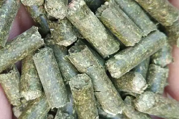 图片[7]-鲤鱼窝料配方大揭秘，麦麸、玉米渣等常用材料解读-会东网